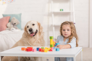 adorable kid playing with educational cubes, cute golden retriever sitting near table in children room