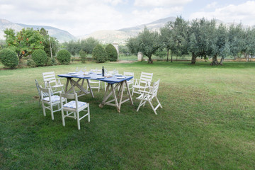 Table Set for Lunch/Dinner Garden Party in garden Sicily