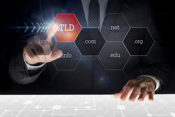 Businessman touching screen with caption " TLD "