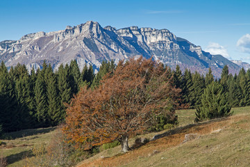 Herbststimmung im Trentino