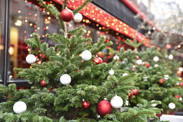Arbres de Noël décorés