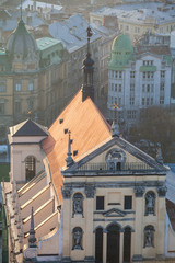 Lviv, city view, historical city center, Ukraine. Lviv roofs. The Church and Convent of the...