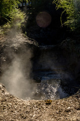 Obraz premium Bubbling hot mud pool in Rotorua, New Zealand