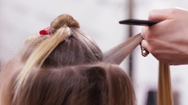 Professional Hairstyler is Treating Long Fair Hair with Red Big Hairpins on the Top of Head of Female Client in a Beauty Salon