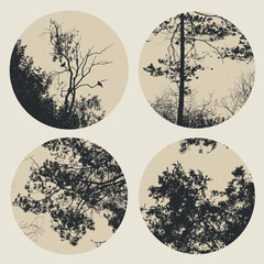 Set of circles with trees and branches silhouettes. detailed vector illustration