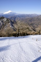 雪化粧の丹沢山地からの富士山