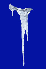 Icicle during thaw on a dark blue, isolated background_