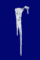 Icicle during thaw on a dark blue, isolated background_