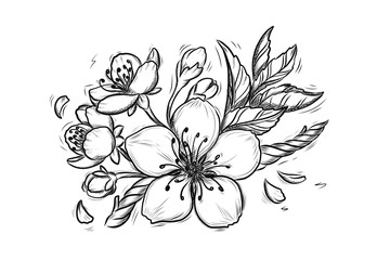 Cherry Blossom Vector Line art Illustration. Sakura Spring hand drawn Sketch for seasonal promo, sale, romantic greeting card, poster, banner, printing. Floral pattern isolated without background