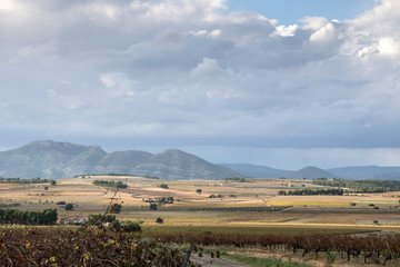 Autumn Vineyards and cellars in Fontanars dels Alforins and Moixent Valencia province Spain