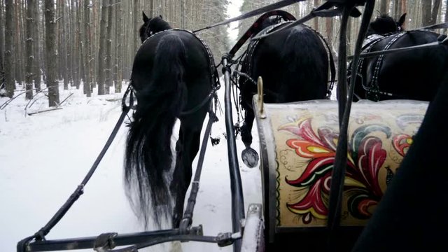Medium shot of Troika. A Russian carriage drawn by a team of three black and three white horses side by side. Slow motion. HD