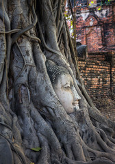 Buddha head in the tree, Wat Mahathat, Ayutthaya, Thailand.