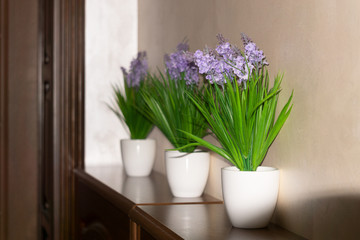 Green vases of flowers stand on a wooden shelf. Home plants