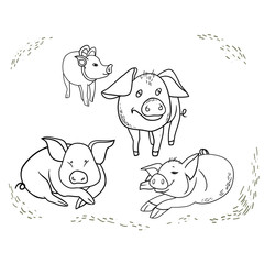 Set of linear drawings, funny pig, new year's design, cartoon hero