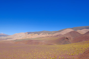 Beautiful mountain landscape in the Argentine Andes, near Laguna Brava, Paso Pircas Negras, Argentina, South America