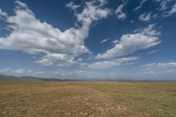 Endless ocean of grass and clouds on the Song Kul fields in Kyrgyzstan