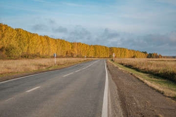 asphalt road turns right, around the autumn forest, roadside along the road