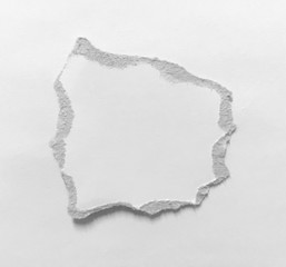Pieces of torn paper on plain background. Copy space