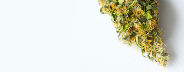 Macro close up of a dried Cannabis Medical Marijuana