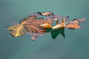 Autunno su lago