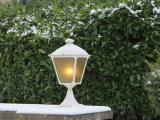 White lantern, lit, covered in snow, against green hedge with real snow