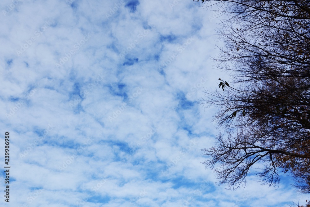 Poster white clouds in a clear blue sky