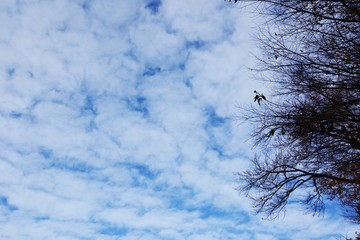 White clouds in a clear blue sky