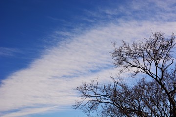 Fototapeta na wymiar White clouds in a clear blue sky