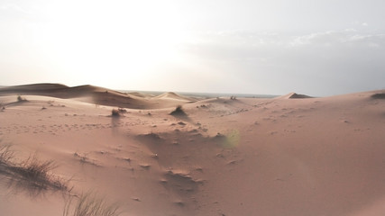 Fototapeta na wymiar Marokko Sahara Wüste im Sonnenuntergang, mit weicher abendstimmung