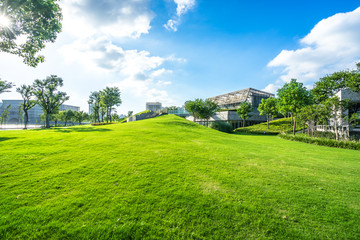 green lawn with city skyline