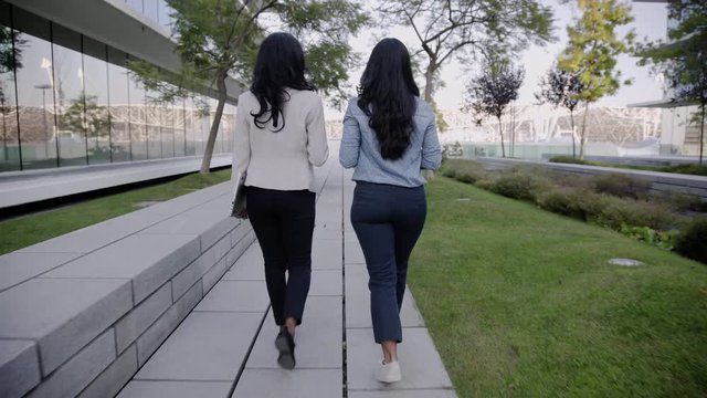 Professional businesswomen talking in city park during walk, back view. Executive colleagues discussing work, rear view. Walking concept
