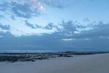 Beach of Corralejo bay at morning, Fuerteventura, Canary