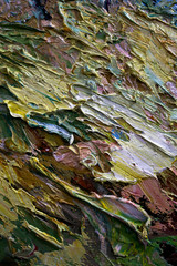 multi-colored strokes of oil paint on the artist's palette. background