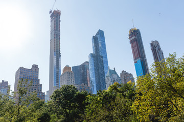 Fototapeta premium urban scene with trees in city park and skyscrapers in new york, usa