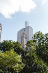 urban scene with green trees and city architecture of new york, usa