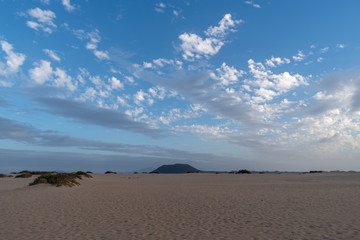 Fototapeta na wymiar Beach of Corralejo bay at morning, Fuerteventura, Canary