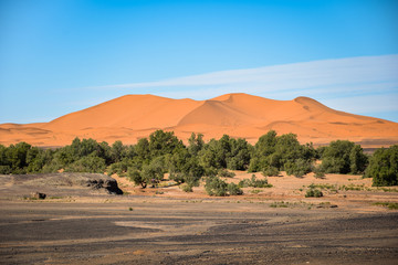 Sahara Desert in Morocco, Merzouga