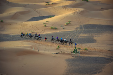 Fototapeta na wymiar Sahara Desert in Morocco, Merzouga
