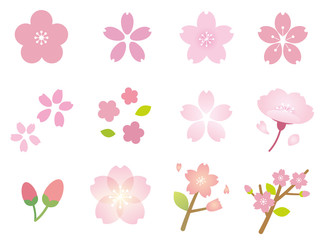 綺麗な桜の花イラストセット