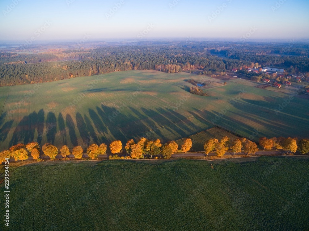 Wall mural country road with colorful maple trees through the hilly terrain during the autumn season, mazury, p