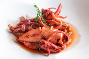 Stewed squid. Italian recipe, Italian cuisine.