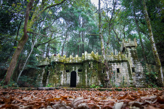 Remains of an old castle in the middle of the forest in Pontevedra, Galicia, Spain