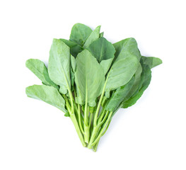 Chinese kale vegetable isolated on white background. top view