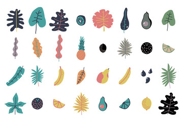 Tropical leaves, seeds and fruits vector simple doodle elements set isolated on a white background.