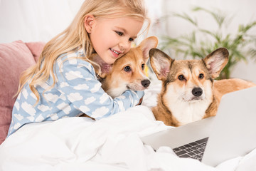 smiling child lying in bed with corgi dogs and looking at laptop