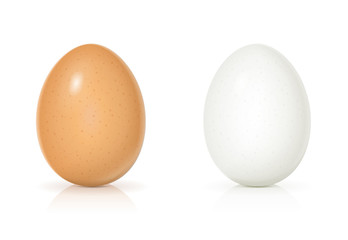 Set yellow and white shell eggs. Product for cooking breakfast.