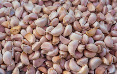 Garlic (Scientific name: Allium sativum) top veiw photo of fresh garlic group background.