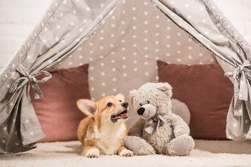 funny welsh corgi dog lying in wigwam with teddy bear at home © LIGHTFIELD STUDIOS