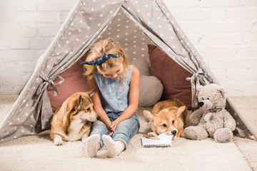 adorable child sitting with corgi dogs in wigwam at home © LIGHTFIELD STUDIOS