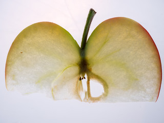 Apple slice cut in thin piece with light from back side
